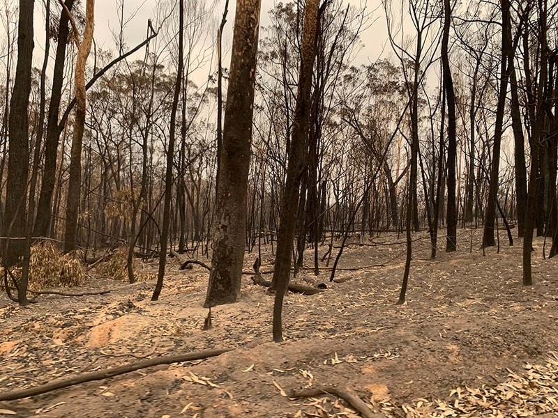 Conservation Habitat loss